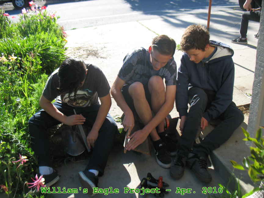 Picture 0004