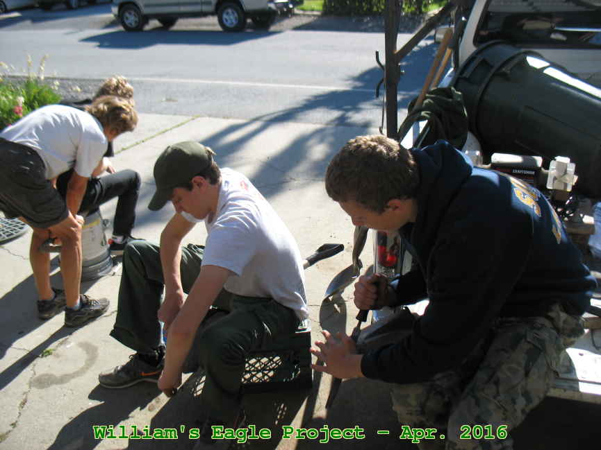 Picture 0006