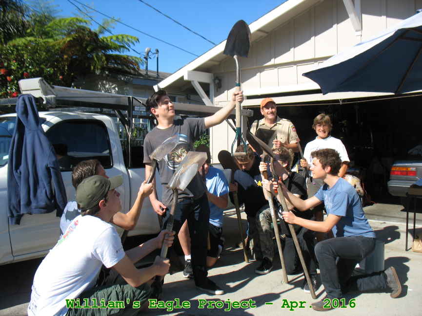 Picture 0009