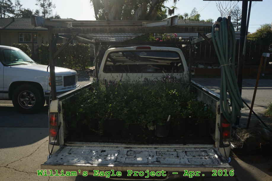 Picture 0010