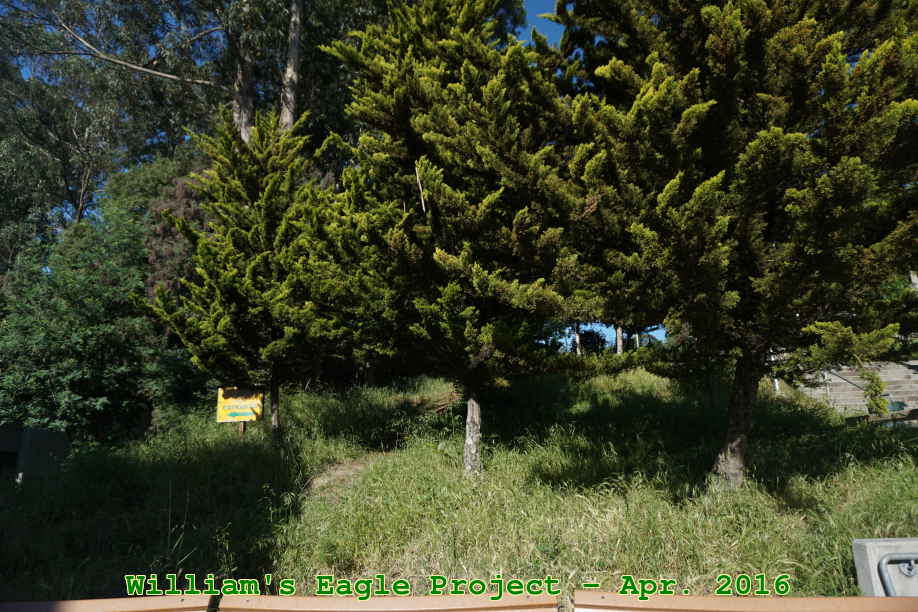 Picture 0011