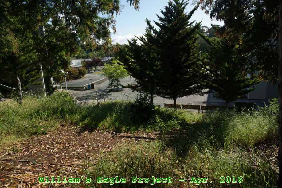 Picture 0012