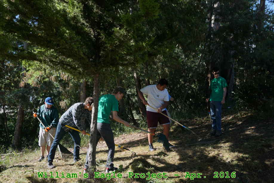 Picture 0013