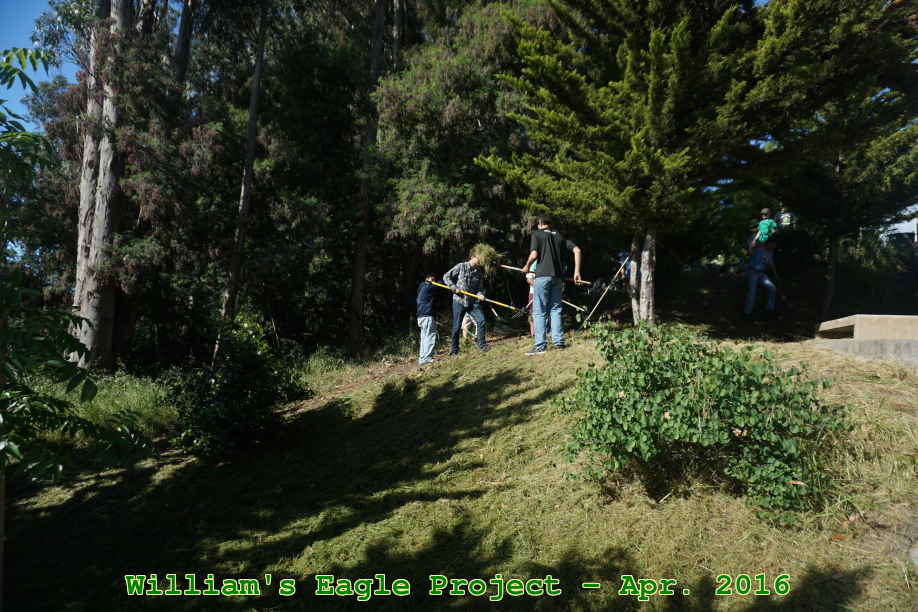 Picture 0014