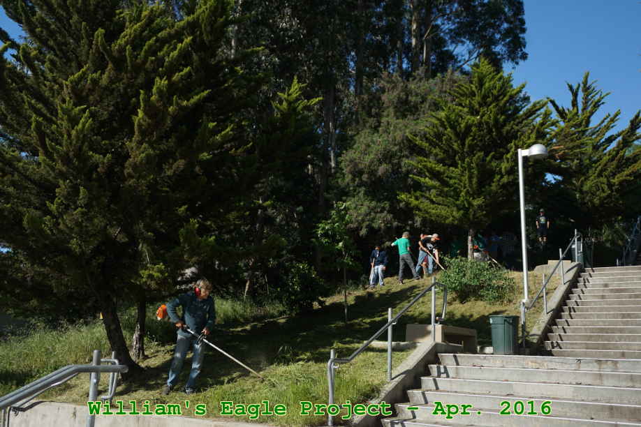 Picture 0015