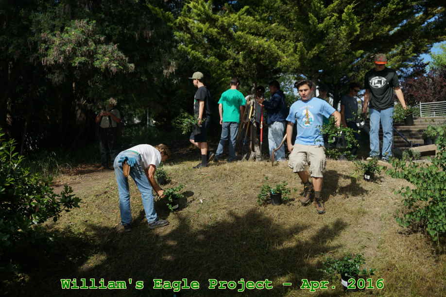 Picture 0016
