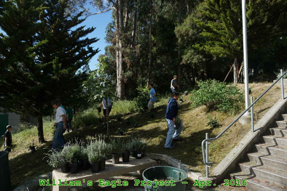 Picture 0018
