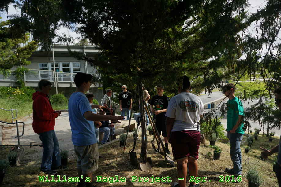 Picture 0019