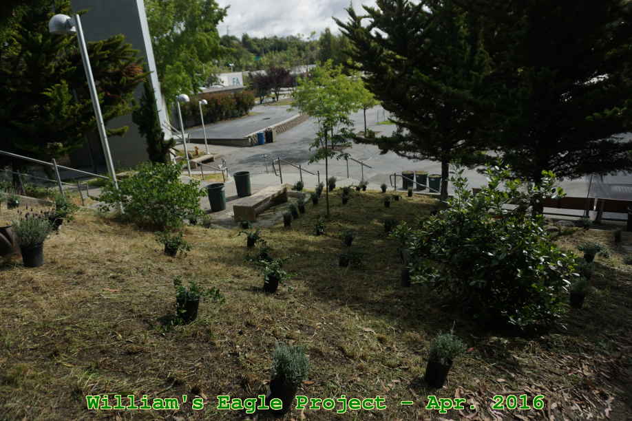 Picture 0020
