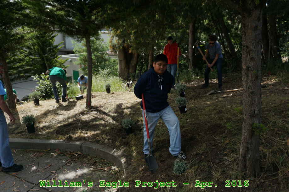 Picture 0022