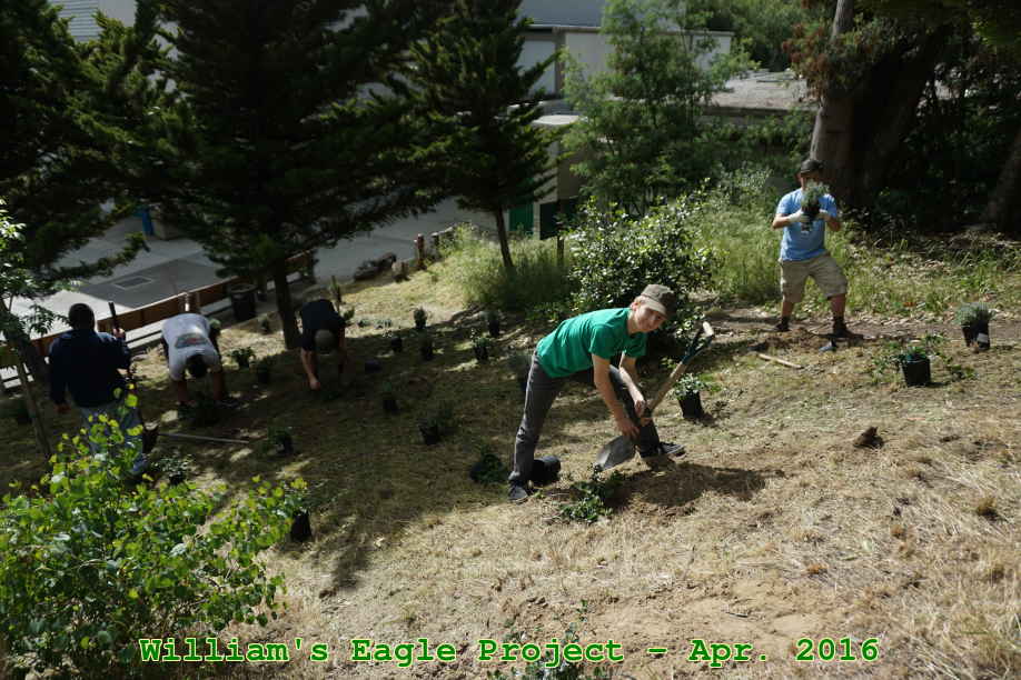 Picture 0023