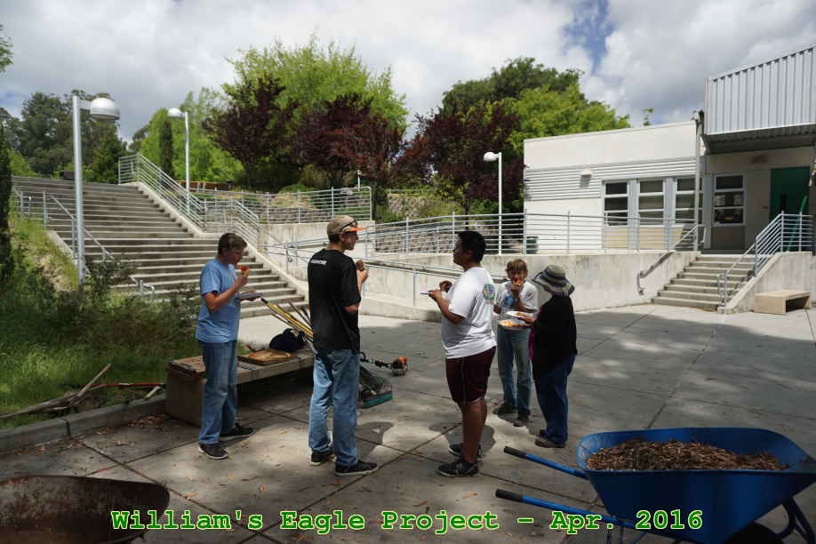 Picture 0026