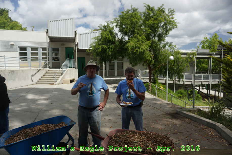 Picture 0028