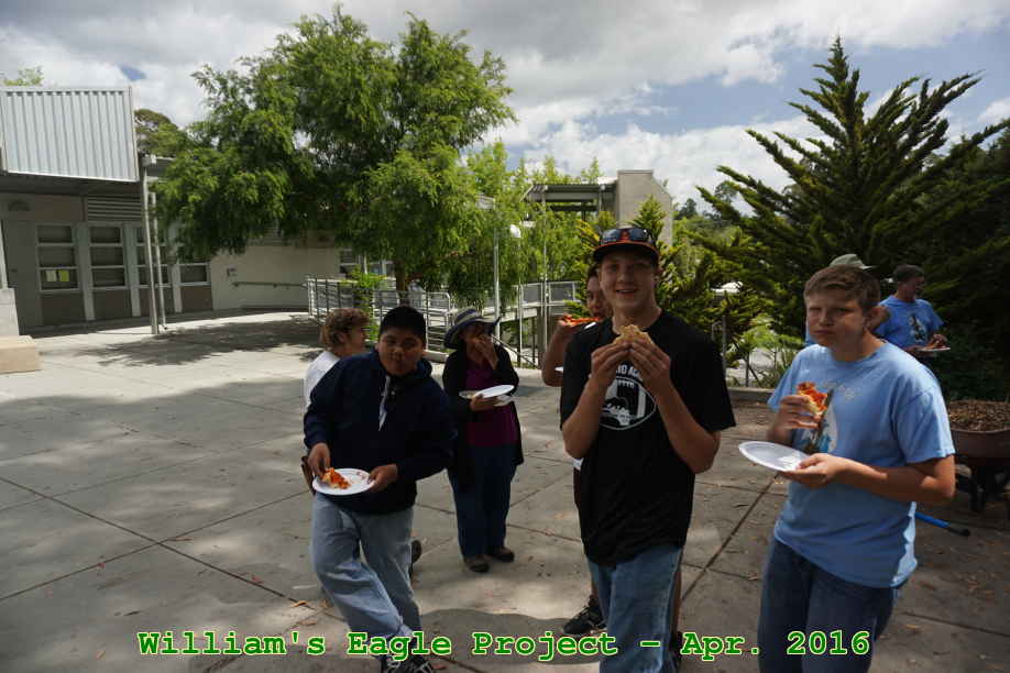 Picture 0029