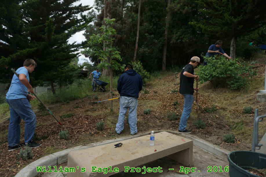 Picture 0032