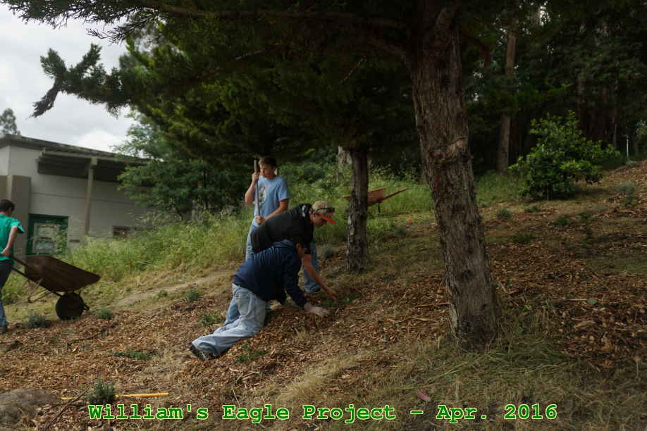 Picture 0033