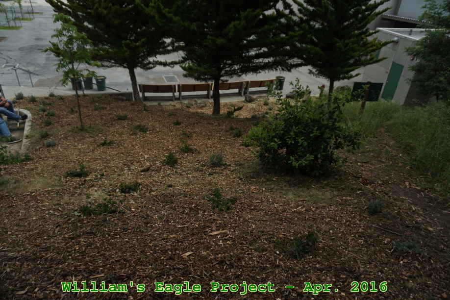 Picture 0034