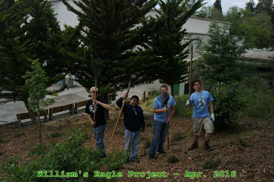 Picture 0035
