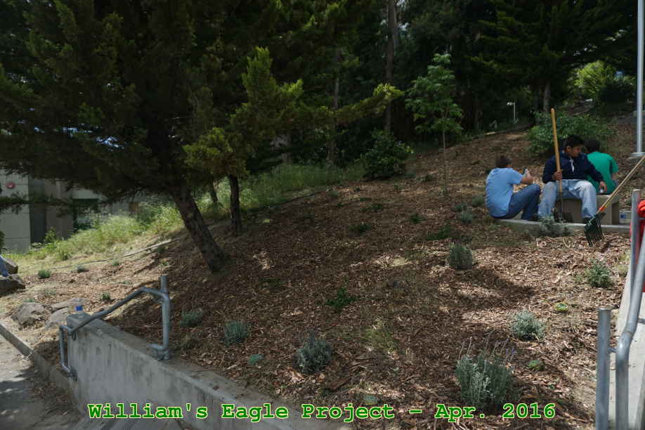 Picture 0036