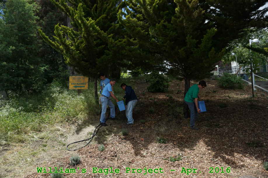 Picture 0038