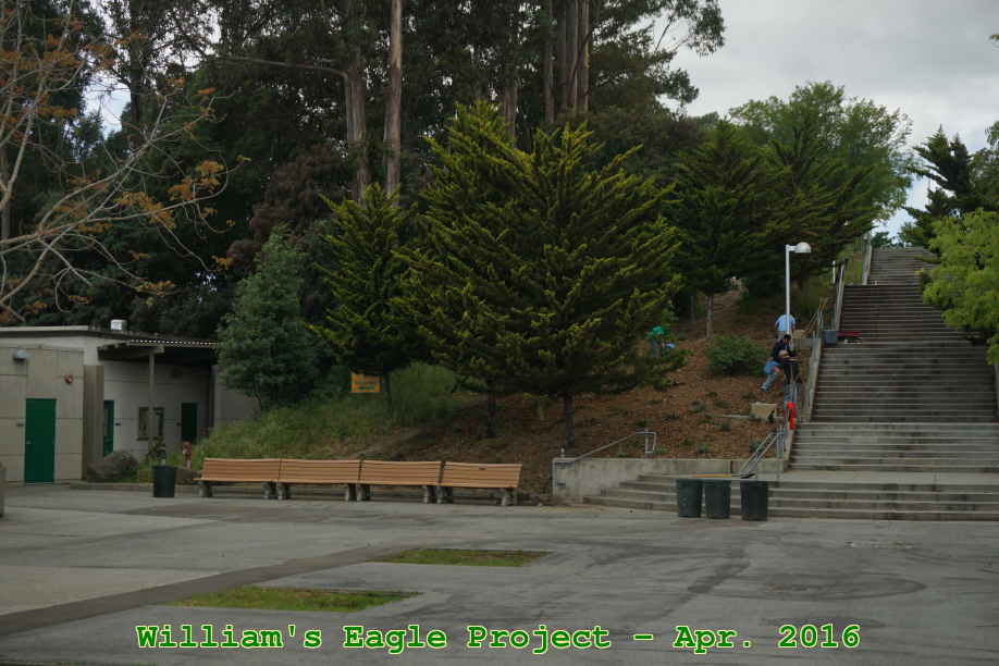 Picture 0040