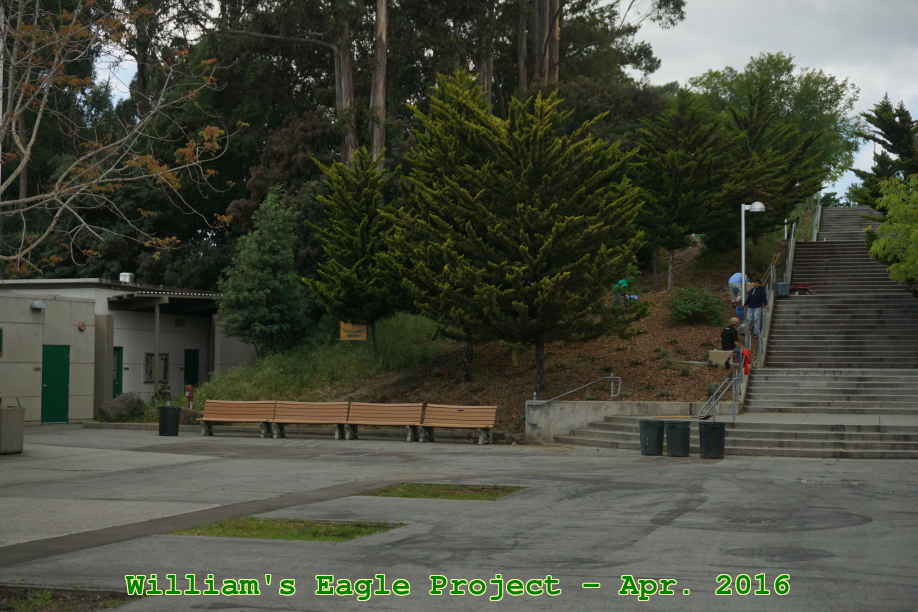 Picture 0041