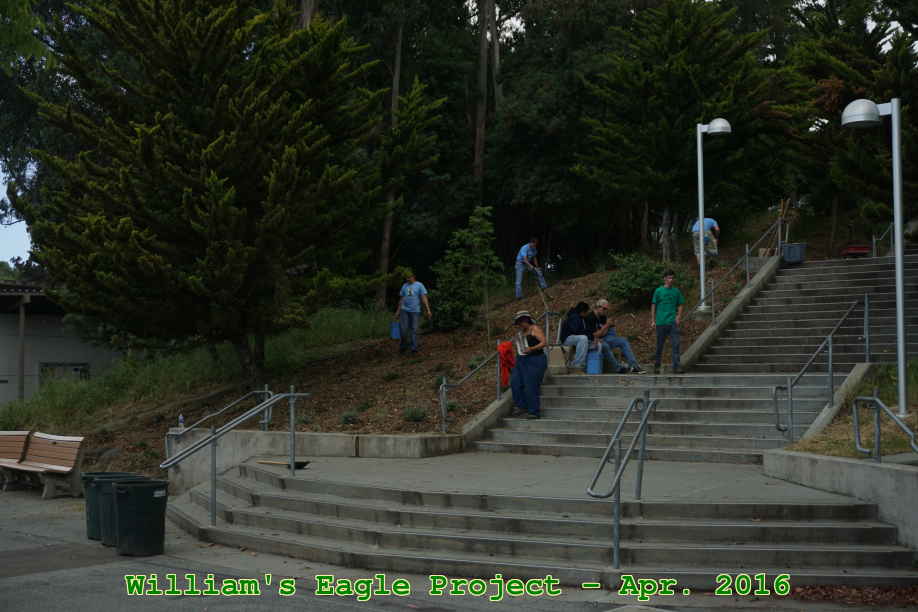 Picture 0042