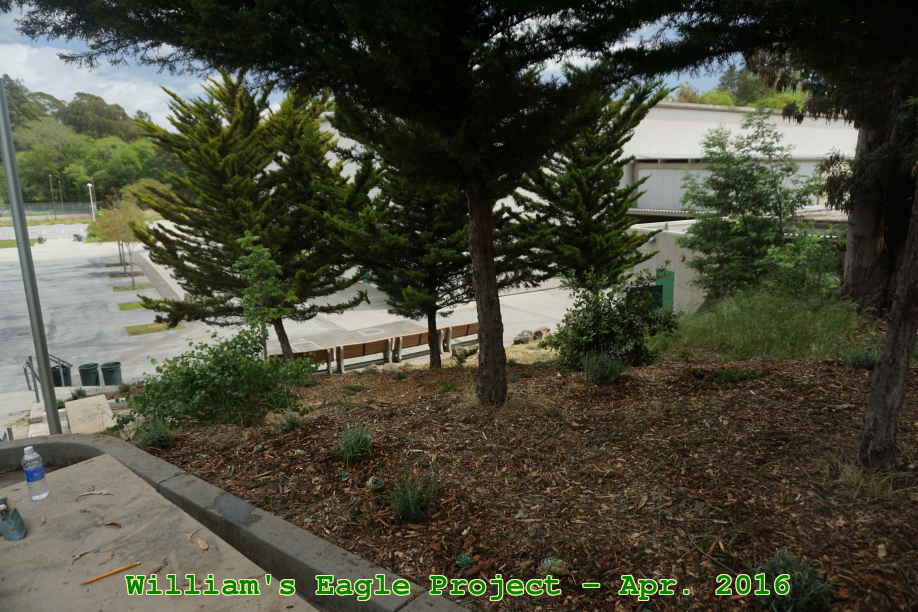 Picture 0045