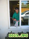 Picture 0025